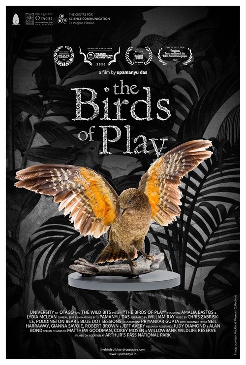 The Birds of Play movie poster