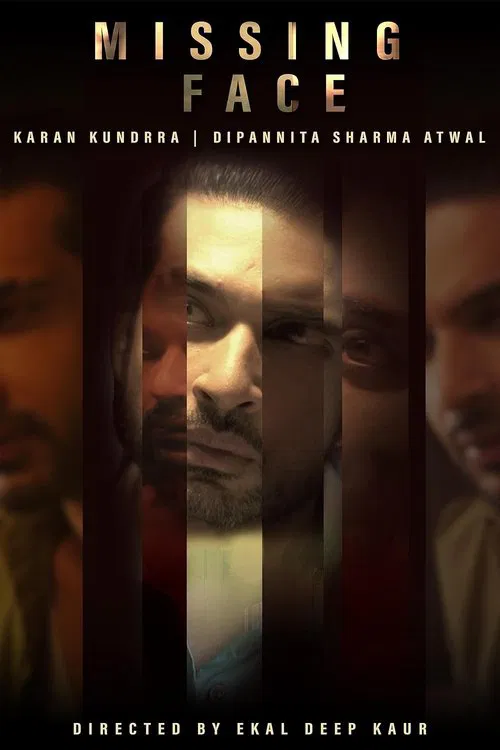 Poster do filme Missing Face