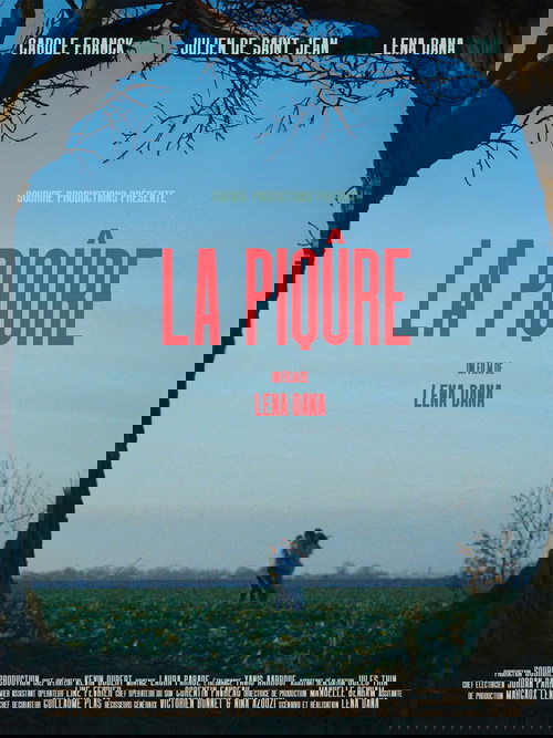 La Piqûre movie poster