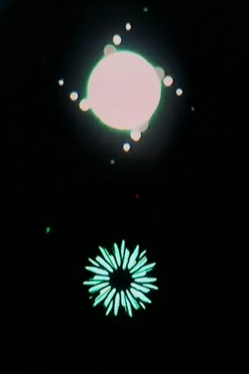 Light Activation Feedback movie poster