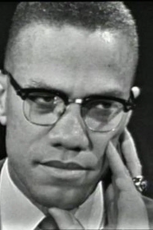 Poster do filme The Negro and the American Promise