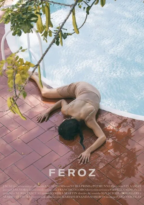 Feroz movie poster
