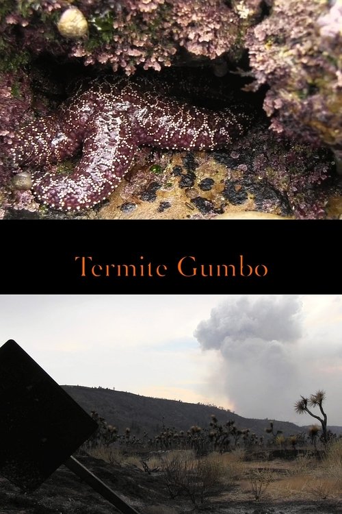 Termite Gumbo movie poster