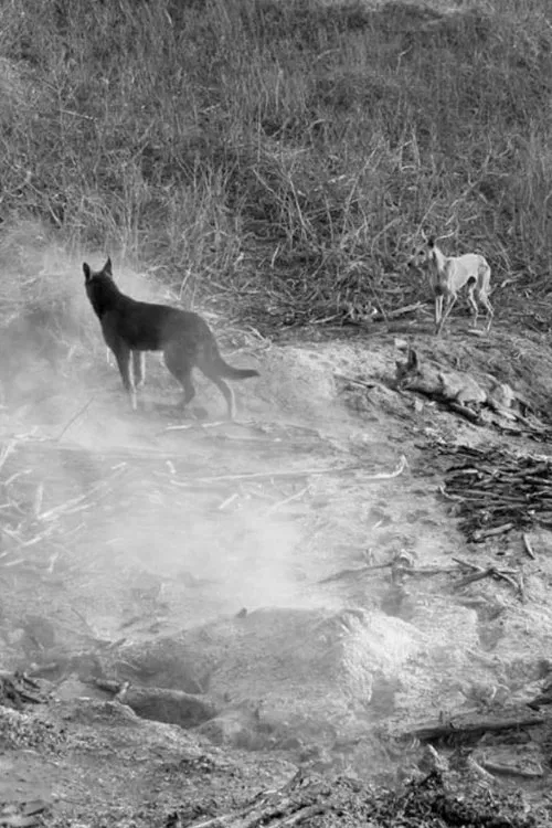 East of Que Village movie poster