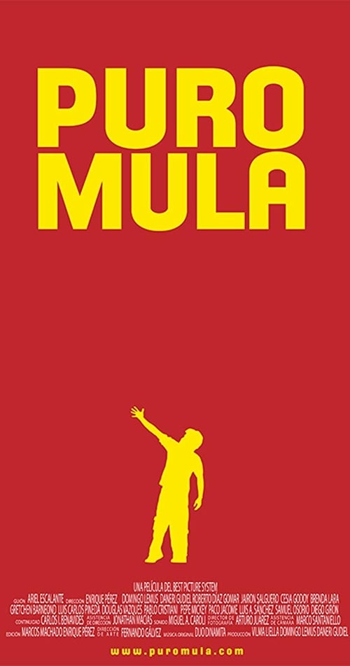 Poster do filme Puro Mula