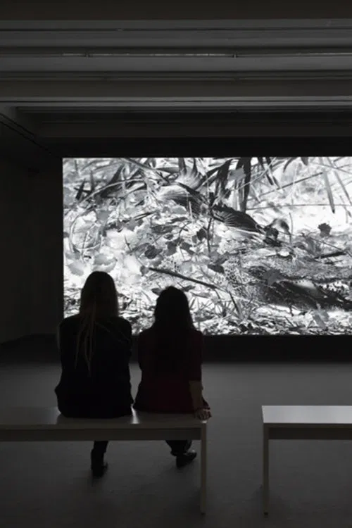 Crossing movie poster