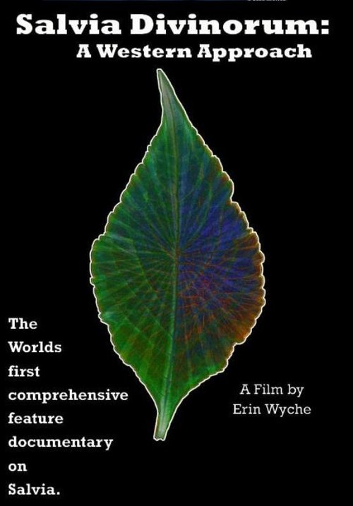 Salvia Divinorum: A Western Approach movie poster