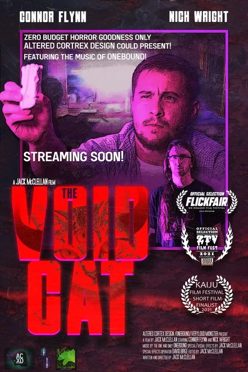 Poster do filme The Void Cat