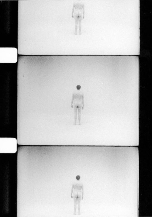 L'homme nu movie poster