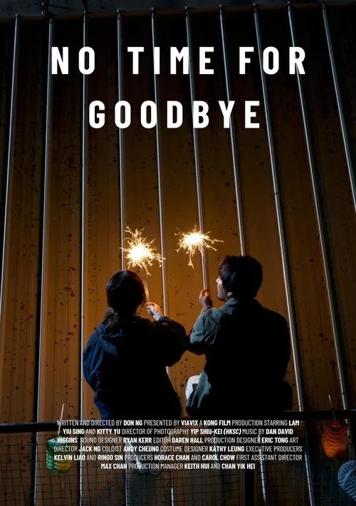 No Time For Goodbye movie poster