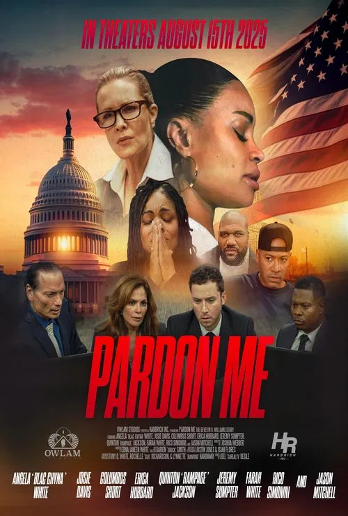 Pardon Me movie poster