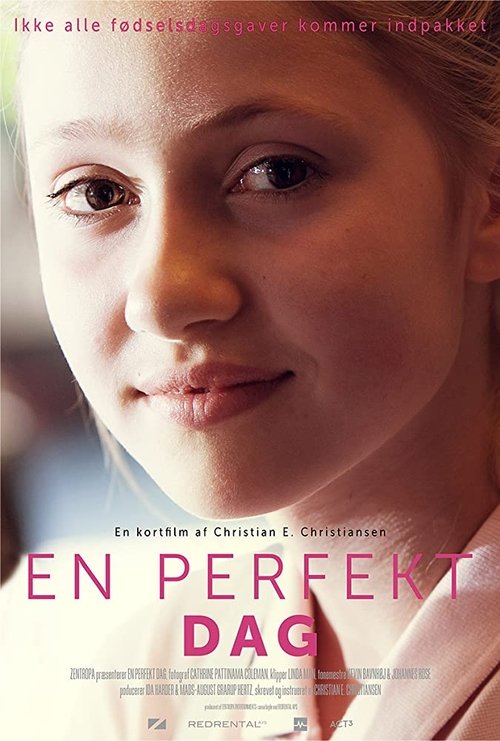 En perfekt dag movie poster