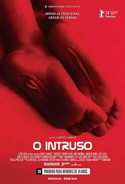 Poster do filme O Intruso