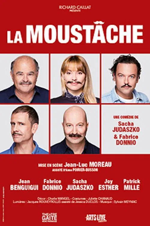 La Moustache movie poster