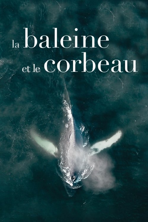 Poster do filme The Whale and the Raven