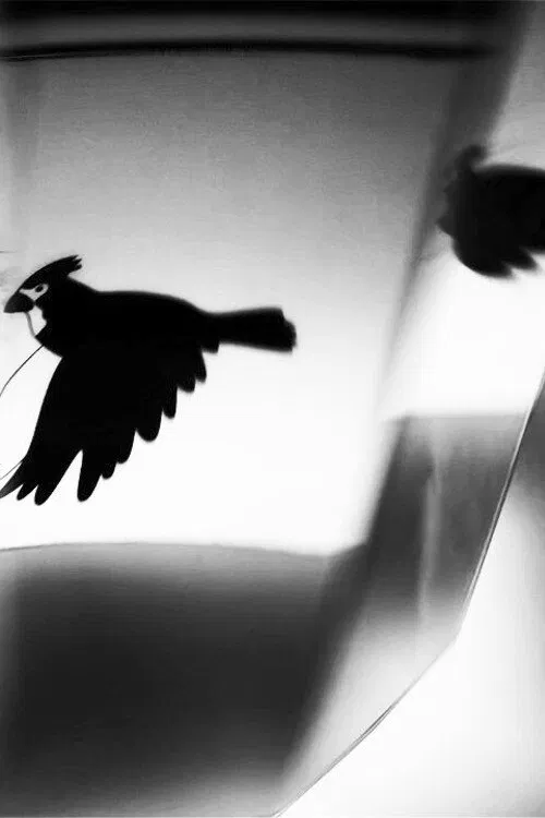 Miles & Kilometres movie poster