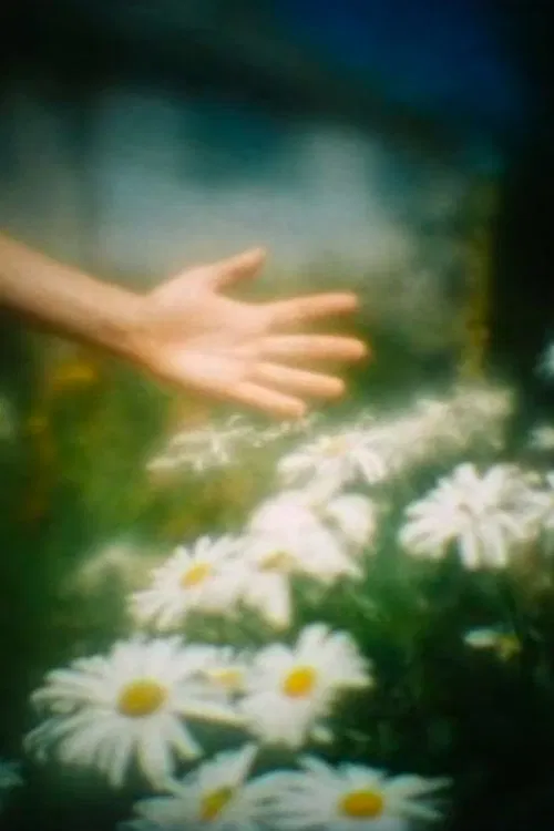 Camera Obscura movie poster