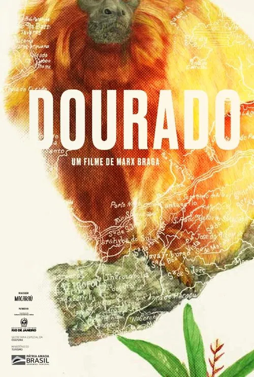 Dourado movie poster