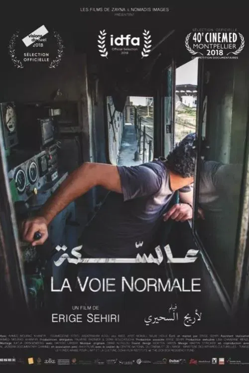 La Voie normale movie poster