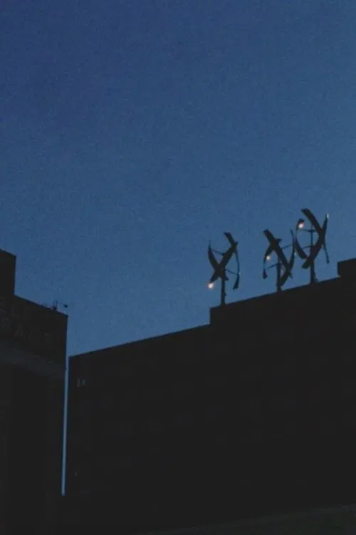 Poster do filme A Century Plant in Bloom