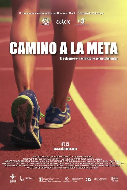 Poster do filme Camino a la meta