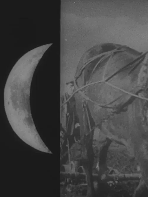 Kuulugu movie poster