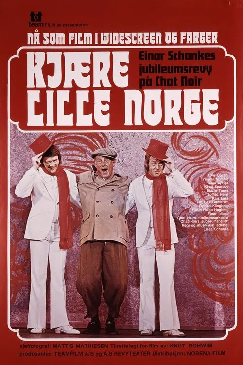 Dear Little Norway movie poster