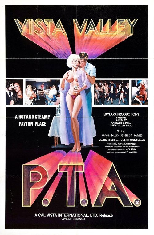 Vista Valley PTA movie poster
