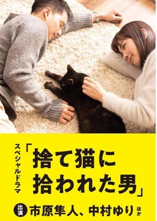 The Man Who Got Picked Up by a Stray Cat movie poster