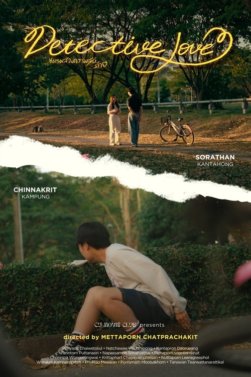 Poster do filme Detective Love