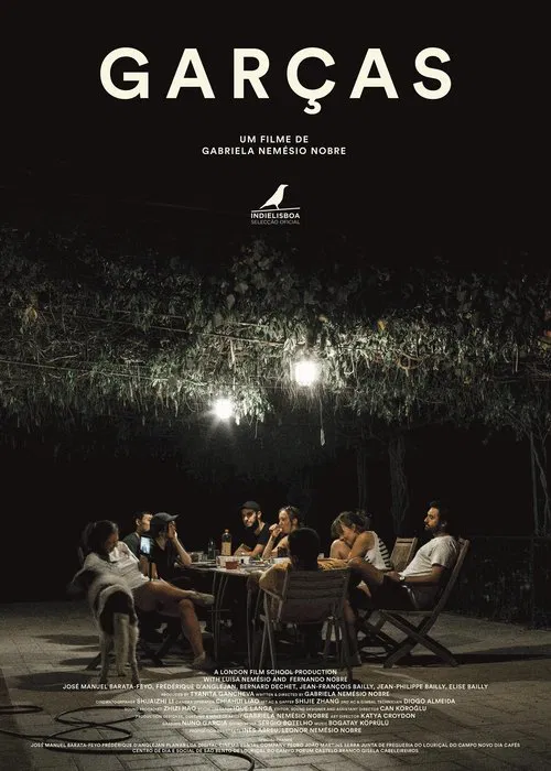 Poster do filme Egrets