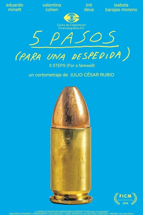 5 PASOS (para una despedida) movie poster