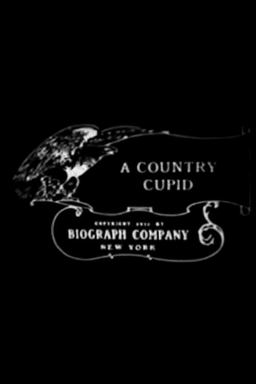 A Country Cupid movie poster