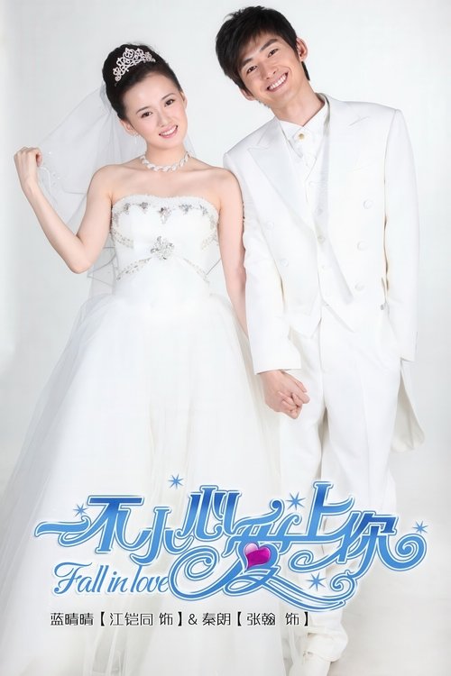 Fall In Love tv show poster