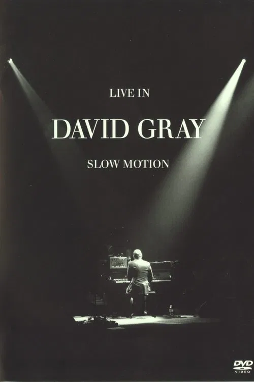 David Gray: LIVE in Slow Motion movie poster