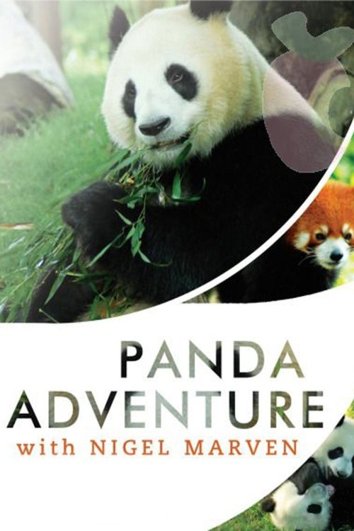 Panda Adventure with Nigel Marven tv show poster