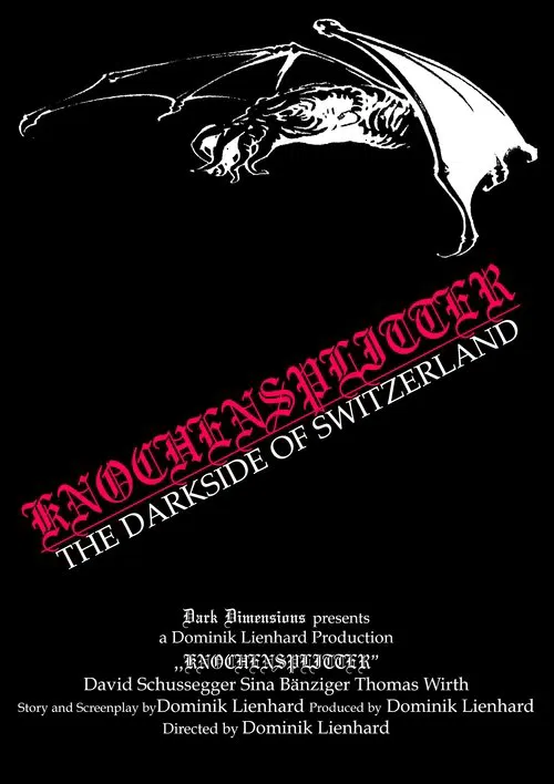 Knochensplitter - The Dark Side of Switzerland movie poster