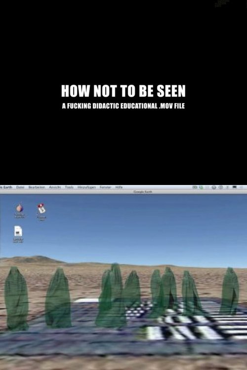 How Not to Be Seen: A Fucking Didactic Educational .MOV File movie poster