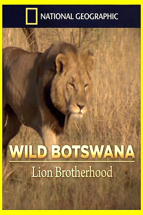 Poster do filme Lion Brotherhood