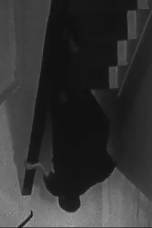 Poster do filme Escalator