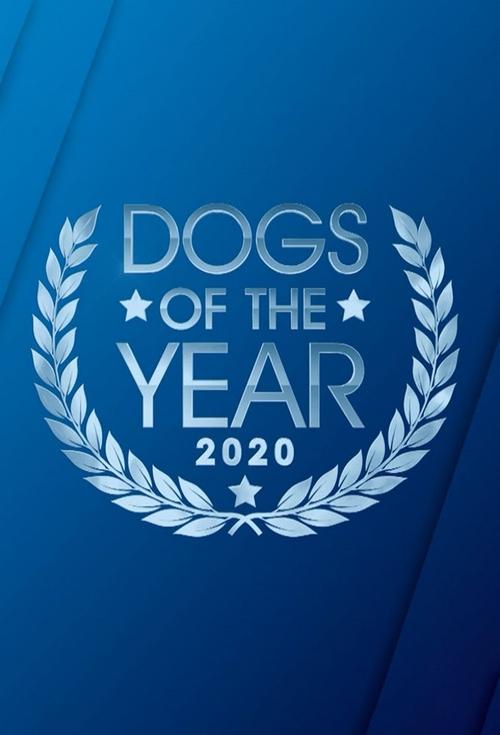 Dogs of the Year tv show poster