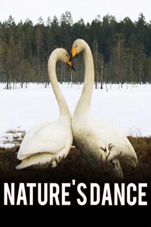Poster do filme Nature's Dance