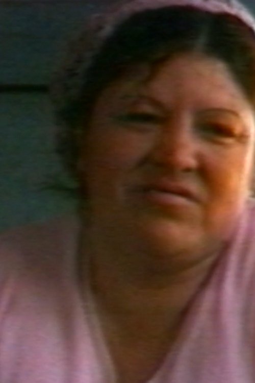 Poster do filme so many lives, one story