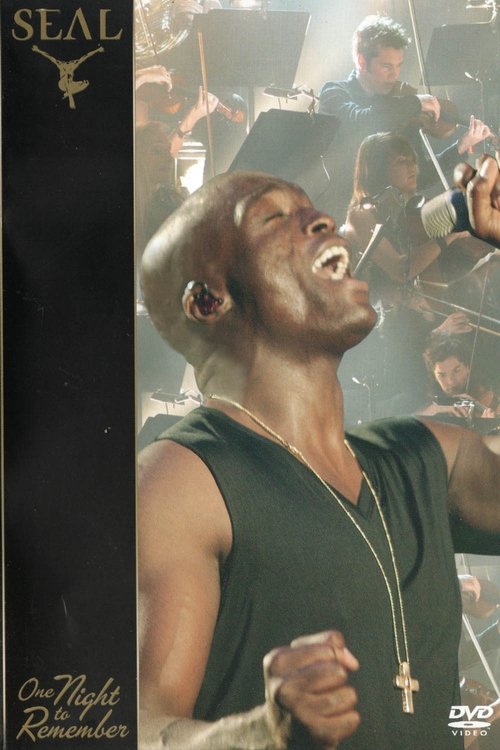 Seal: One Night To Remember movie poster