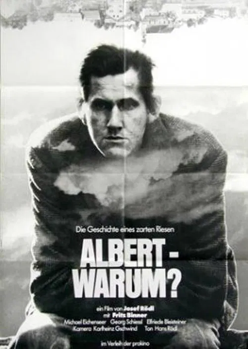 Poster do filme Albert - warum?