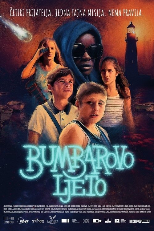 Bumblebee's Summer movie poster
