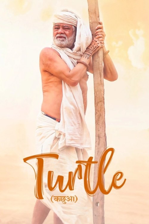 Turtle movie poster