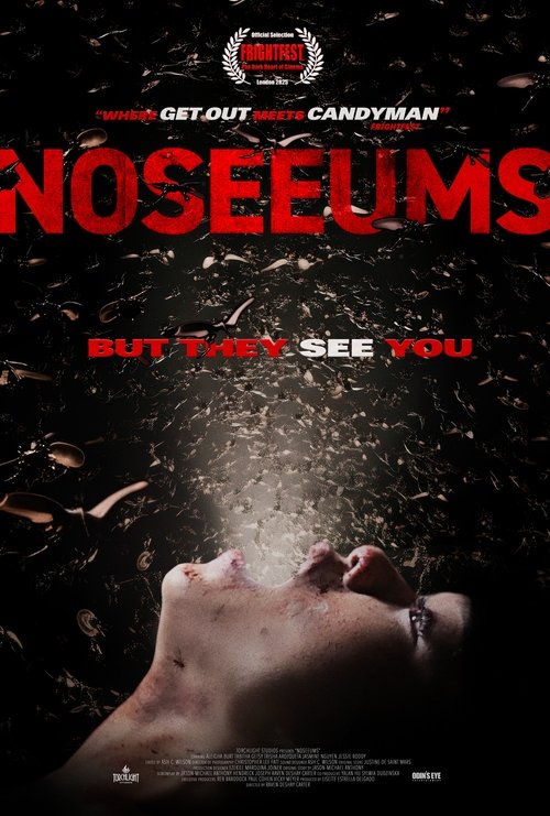 Noseeums movie poster