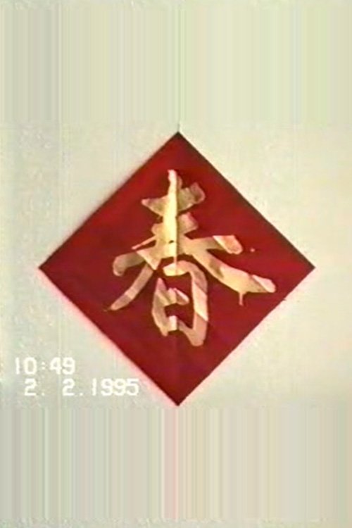 1995年2月2日民间举办迎喜花会 tv show poster