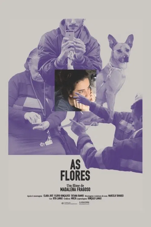 As Flores movie poster